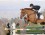 Bond and Cadett Speed to Victory in $33,000 HITS Desert Classic