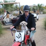 Daily Dog - HITS Desert Circuit, DC I