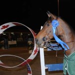 Ashlee Bond and Wistful receive their trophy