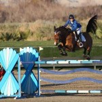 Francie Steinwedell-Carvin and her horse, with tail flying, over a jump.