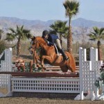 Hope Glynn and the chestnut hunter Balios Z on course at the HITS Desert Circuit.