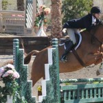 Jenny Karazissis and Undeniable, a bay Oldenberg gelding, on the hunter course.