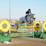 Josephina Nor and her graceful grey horse seem to float over a giant oxer constructed to look like Sunflowers.