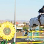 Josephina Nor and her graceful grey horse seem to float over a giant oxer constructed to look like Sunflowers.