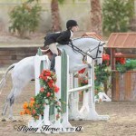 Lexie Looker and her grey pony Center Field float over a hunter jump.